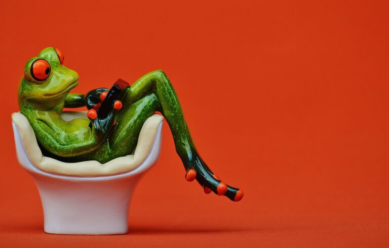frog, chair, comfortable-1250496.jpg